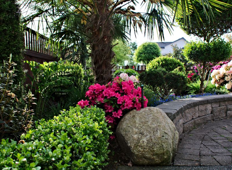 Inside a Bird of Paradise Planting