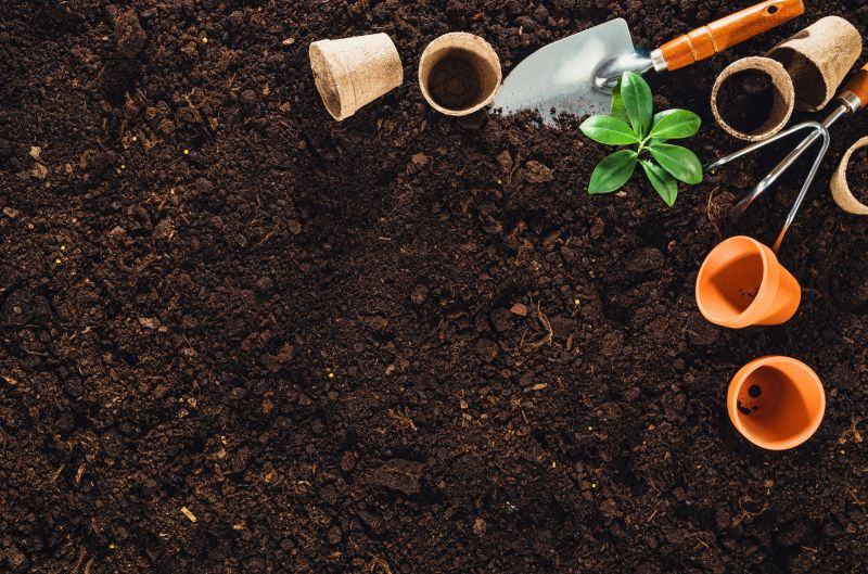 Soil Preparation and Amendments