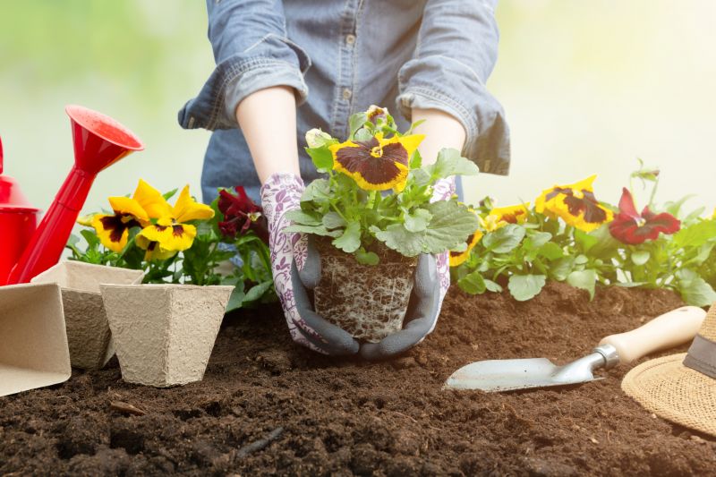 Summer Planting Tips