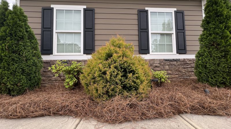 Bush Landscaping in Ventura County, CA