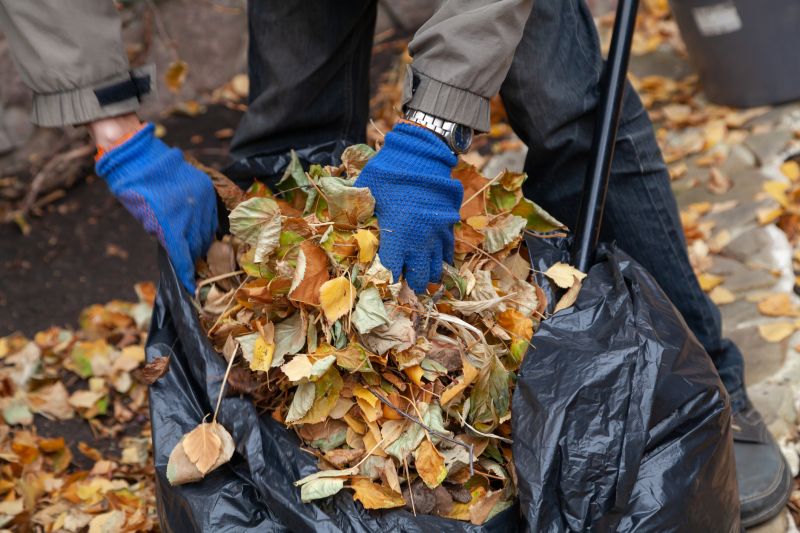 Close-up of Leaf Pile