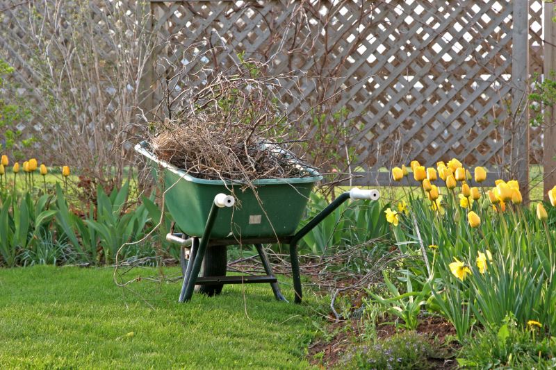 Flower Bed Cleanup Service in Honolulu, HI