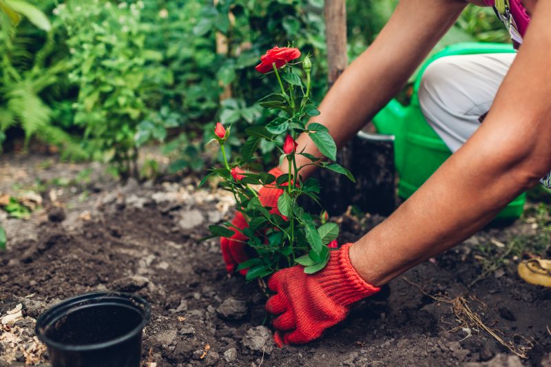 Flower Planting Service in Ventura County, CA