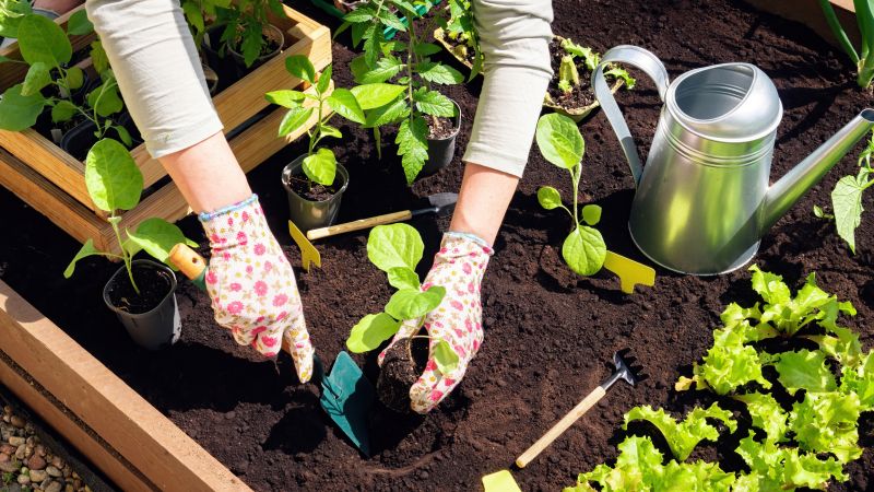 Garden Care Service in Ventura County, CA