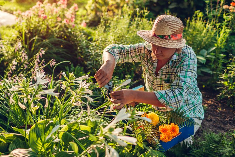 Gardening Service in Honolulu, HI