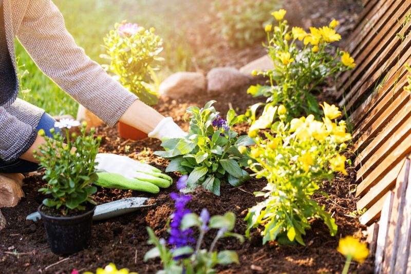 Home Gardening Service in Honolulu, HI