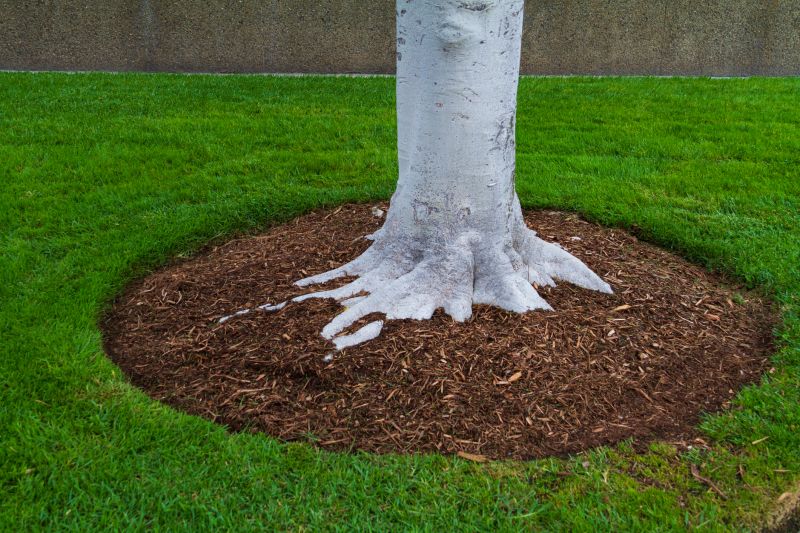 Organic Mulch Installation in Ventura County, CA
