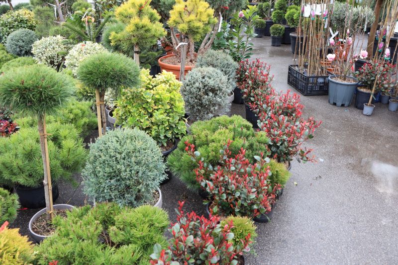 Perennials Planting in Ventura County, CA