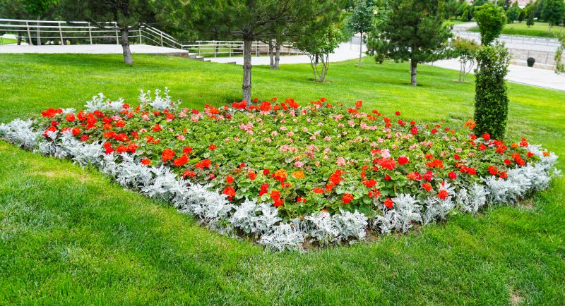 Privacy Shrub Installation in Ventura County, CA