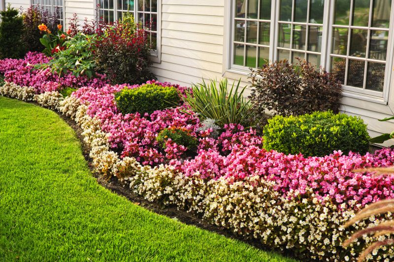 Rose Bush Planting in Honolulu, HI