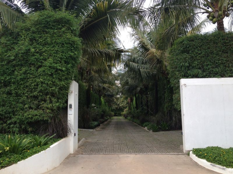 Tree Installation Service in Ventura County, CA