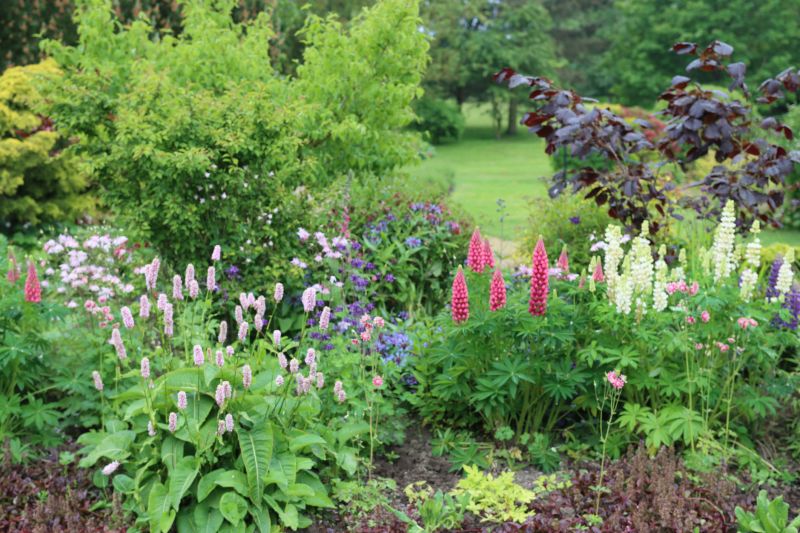 Honolulu, HI